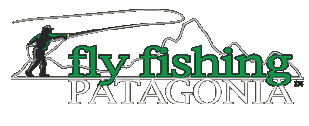 flyfishingpatagoniaLogo